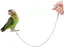 Chaîne D'oiseau En Acier Inoxydable Pigeon Animaux Bandes De Pattes D'oiseaux Perruche Cage À Oiseaux Volière Filet Ara Laisse 1PCS