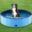 Piscine pour petits et grands chiens pliable antidérapante 80 x 20 cm PVC épais piscine pour chiens denfants.