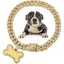 Collier pour chien avec laisse - MICH - Diamants dorés - Médaille didentification - Chaîne en acier inoxydable - Strass