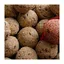 Boules de graisse Premium avec insectes 100x90g