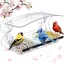 Grande Mangeoire à Oiseaux pour Fenêtre Transparente 26 x 14 x 55 cm - Window Bird Feeder