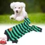 FYDUN Pyjamas rayés pour chiens Pyjama rayé pour chien élégant  extensible respirant à 4 pattes pour animalerie blouson S