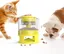 Distributeur de nourriture pour chien et chat – Jouet pour animal domestique avec bouton automatique – Mangeoire lente, entraînemen