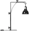Support de lampe chauffante pour reptiles - PawHut - hauteur et largeur réglables - pour amphibiens, lézards, tortues, geckos -
