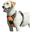 Harnais Chien Moyen/Grand Orange Réfléchissant Anti-Traction Réglable avec Poignée Respirant Durable et Facile à Mettre