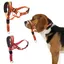 Collier de tête pour chien licou sans traction avec rembourrage doux outil dentraînement durable et réfléchissant pour chiens