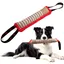 Jouet Chien Indestructible Boudin Jouet pour Chien Cadeau pour Interactif avec Poignée Rouge QIEDOVIEY