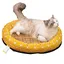 Coussin rafraîchissant pour chien coussin dété doux et respirant pour petit chien tapis rond antidérapant et lavable