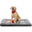 Coussin pour chien - Coussin de banc - Coussin pour animaux - Tapis de couchage confortable - Tapis lavable et antidérapant pour