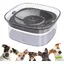Gamelle Deau Sans Renversement Pour Chiens : Gamelle Pour Chien 2L Sans Bavure Gamelle Deau Pour Chien Gamelle À Eau Anti-fuite