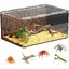 Terrarium pour Les Araignées - Terrarium en Acrylique pour Reptiles - pour Les Geckospour Les Geckos Les Serpents Taille moyenne