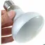 Lampe chauffante UVA UVB pour reptiles - MICH - 60W - Ampoule pour tortue - Chauffante et UV - Étanche