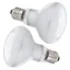 Lampe Chauffante 2pcs 50W Lampe Chauffante Tortue UVA E27 Spiral Lampe Reptiles220V Silver Plated Glass Ampoule Lamp