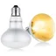 Lampe Chauffante2pcs 100W Lampe Chauffante Tortue UVA E27 Spiral Lampe Reptiles Silver Plated Glass Ampoule Lamp Chauffante
