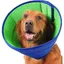 Collerette de récupération pour chien - LUSKYKA® - Souple et légère - Anti-lechage et grattage - Ajustable - Respirant