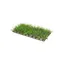 Plante d'aquarium - Hobby - Hobby 1 - Vert - Plastique - Facile à fixer