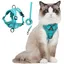 Harnais Chat- Harnais Petit Chien avec Laisse Réglable Respirant Refléchissant Laisses Colliers Chat-M-vert