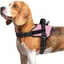 Harnais Chien Harnais Anti Traction pour Chien Réfléchissant Réglable Respirant Facile à Mettre avec Poignée Contrôle Rose M