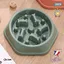 Gamelle anti glouton pour chien BCSK® | Gamelle chien chat animaux domestiques – favorise la digestion – Anti vomissement - Vert