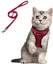Harnais Chat Petit Chien Laisse Harnais Chaton réglable Rouge