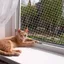 Filet de protection pour chat - MICH - Fibre de polyester - 3x6 m - Résistant aux morsures - Peut être coupé