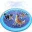 Piscine pour Chien Peteast pour Petits et Grands Chiens Jouets deau pour Chien épais et antidérapants (Bleu 170*2 cm)