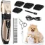 Tondeuse silencieuse à poils longs et épais pour chien tondeuse à cheveux pour animaux de compagnie sans fil rechargeable