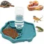 Distributeur d& 39 eau pour Reptile Mangeoire Gamelle Tortue Terrestre Abreuvoir Tortue Terrestre 2 en 1 Distributeur Bleu