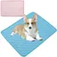 Tapis Rafraîchissant pour Chien & Chat – 2 pcs 50x40 cm Effet Frais Instantané (Bleu/Rose)
