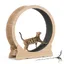 Mondeer Roue d'exercice pour chat de 42,5 (43,3) pouces,avec tapis amovible et conception ultra - silencieuse,marron