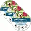 Collier anti-puces et anti-tiques Seresto pour grand chien plus de 8 kg recommandé par vétérinaires  Anti-puces/tiques  Lot de 3