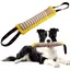 Jouet Chien Indestructible Boudin Jouet pour Chien Interactif Mâcher Corde Jouets pour Jeux Chiens avec 2 Anses Cadeau pou Label