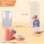 Distributeur deau pour petits animaux (500 ml) abreuvoir automatique suspendu anti-goutte pour lapins hamsters et cochons dInd