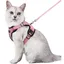 Harnais Chat Anti-évasion avec Laisse Rose M Harnais Chaton Petit Chien Réglable Collier Harnais et Laisses pour Chat Label
