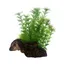 Hobby Flora Root S 3