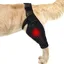 Attelle de jambe arrière pour chien INF pour la restauration des fractures, attelle de genou respirante S