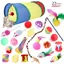 Jouets Chat 22 Pièces Jouet à Plumes pour Chat Chaton et Kitty, Kit Jouet Chats avec Tunnel, Balles,Plumes,Cloches,Souris et Boules