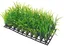 Décoration pour aquarium Hobby Plant Mat 3