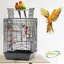 Cage à oiseaux QUIIENCLEE 40 × 40 × 58 cm cage à perchoirs portable à ouverture par le haut noire