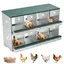 Pondoir Poules Pondeuses 8 Compartiments Poulailler Durable Œufs Protégés et Nettoyage Facile Double Couche Vert