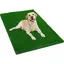 Tapis durine pour chien - Unbrand - Vert - 40x60 cm - Gazon imitation - Intérieur et extérieur - Facile à nettoyer