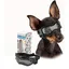 Lunettes de soleil noires pour chiens de petite taille protection UV sangles réglables pour la tête et le menton pour YYV