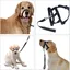 Licol Noir pour Chien Harnais de Tte Rflchissant YYV