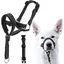 Harnais De Tête Licol Pour Chien Avec Sangle De Sécurité Harnais Anti-Traction Pour Chien Collier De Dressage Confortable (M)