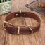 Collier K-9 pour Chien Robuste et Rembourr Rglable en Cuir Vritable Marron Taille XXL 58-73 cm YYV