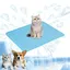 Tapis rafraîchissant pour chien et chat M 60x50cm - Tapis frais lavable en machine pour animaux - Coussin auto-refroidissant Bleu
