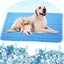 Tapis rafraîchissant lavable en soie glacée pour chien – fond imperméable idéal été (XL 100x70 cm)