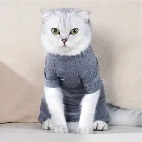 Comparer les prix de Combinaison de récupération pour chat à 4 pattes Prévient la perte de poils Très élastique Confortable Doux pour la peau Récupération chirurgicale pour chaton S gray