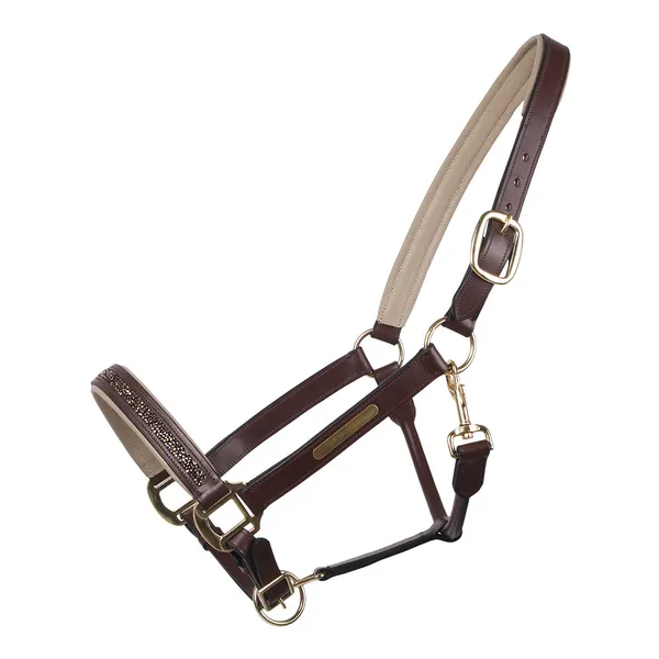 Licol pour cheval QHP Lupine – photo 2