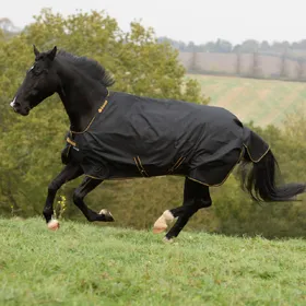 Comparer les prix de Bucas Irish Turnout Light 50g Classic 1200D - noir/or - Taille 170